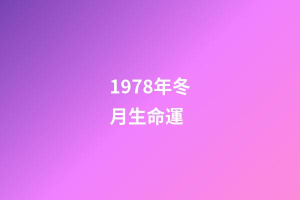 1978年冬月生命運 (1978年3月生命運)-第1張-觀點-玄機派